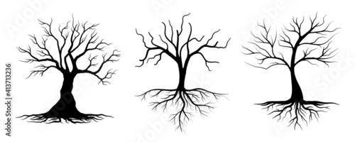 set of trees