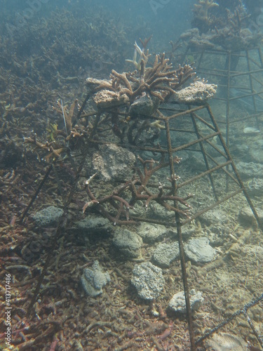 The coral frame with artificial live rock and coral fragment in coral reef photo