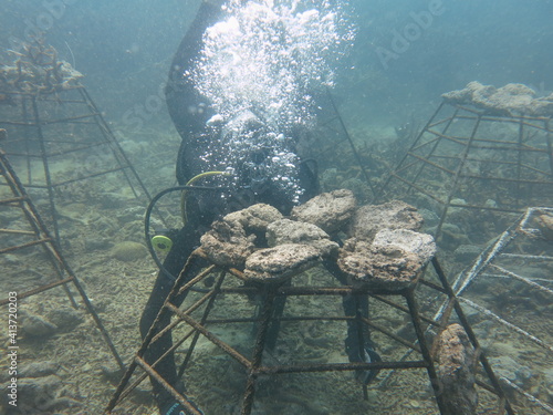 The coral frame with artificial live rock and coral fragment in coral reef photo