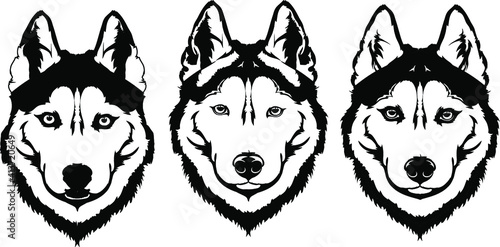 Beautiful black white dog head (muzzle) breed husky or wolf
A set of elements for the logo or cutting out of needlework