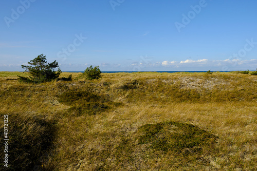 Landschaft mit Dünen und Strandseen am Darßer Ort, Nationalpark Vorpommersche Boddenlandschaft, Mecklenburg Vorpommern, Deutschland photo