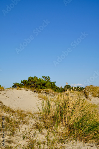 Landschaft mit Dünen und Strandseen am Darßer Ort, Nationalpark Vorpommersche Boddenlandschaft, Mecklenburg Vorpommern, Deutschland