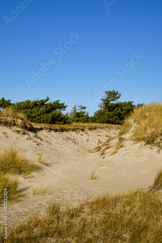 Landschaft mit Dünen und Strandseen am Darßer Ort, Nationalpark Vorpommersche Boddenlandschaft, Mecklenburg Vorpommern, Deutschland photo