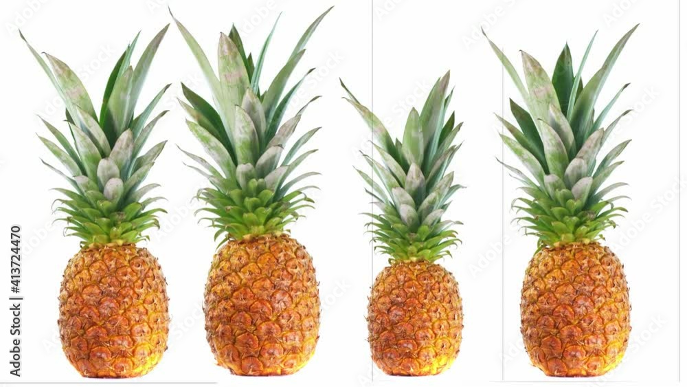 Pineapple rotation isolated on white background, fresh fruits Pineapple rotation isolated on white background, fresh fruits