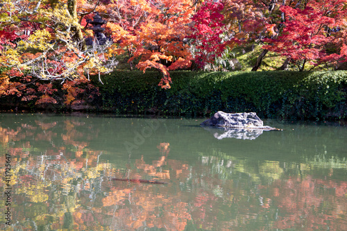 Fototapeta Naklejka Na Ścianę i Meble -  風景素材　美しい日本の秋　鮮やかな紅葉