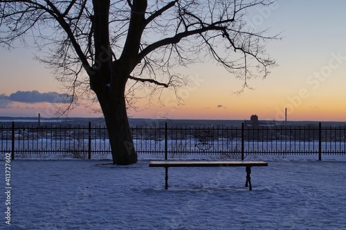  A tree and a bench on the Tumskie Hill in P  ock at sunset in winter  