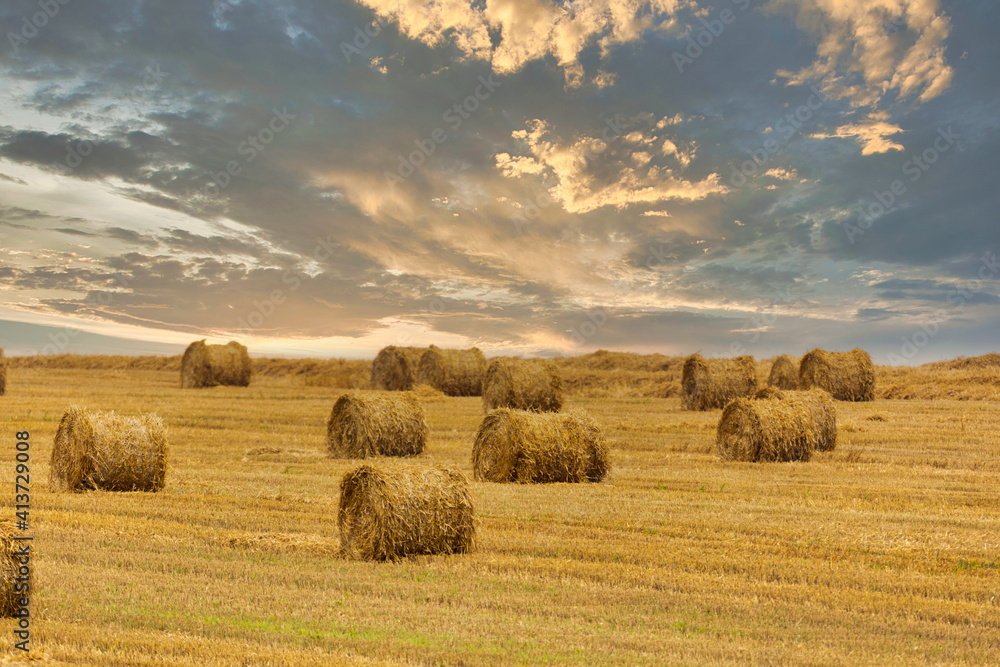 Sunset harvest agricultural landscape with bales of straw on a field.