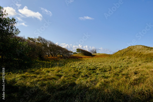 Lichtstimmung im Darßer Urwald und am Darßer Weststrand, Nationalpark Vorpommersche Boddenlandschaft, Mecklenburg Vorpommern, Deutschland photo