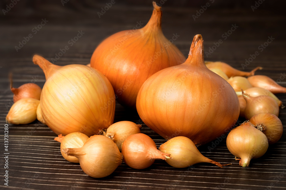 The concept of Growing onions from planting seed. Large bulbs and Onion sets close-up.