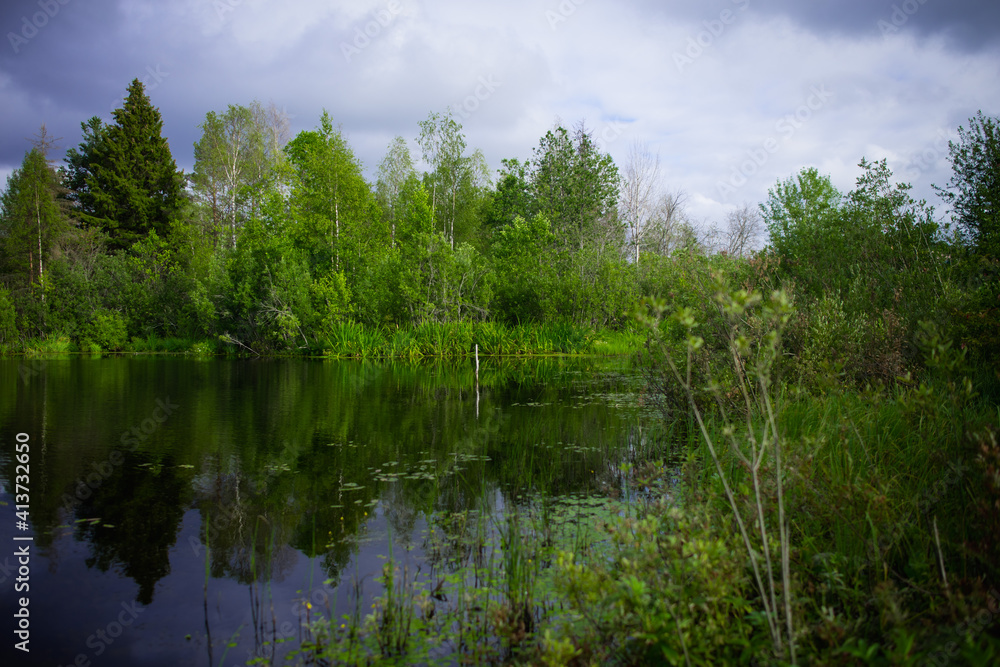 Summer landscape, swamp, forest lake, fishing spot, green forest Summer landscape, swamp, forest lake, fishing spot, green forest