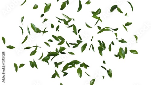 3D animation of green tea leaves flow with alpha layer