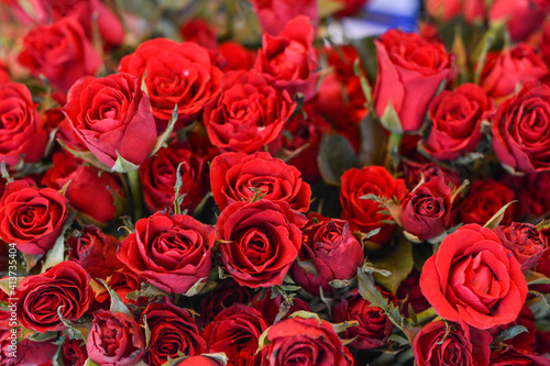 Fototapeta Naklejka Na Ścianę i Meble -  bouquet of red roses