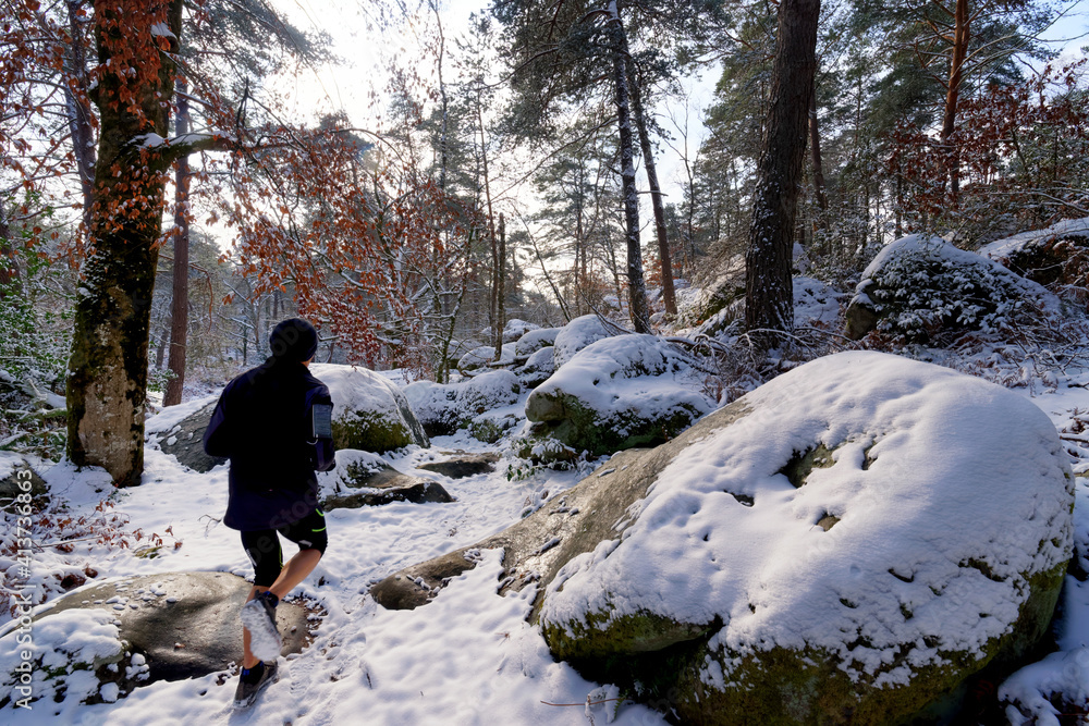 Runner in Fontainebleau forest Winter season