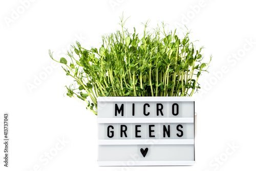 Microgreens isolated on white. micro greens for sale. Vitamins from nature. Vegan and healthy superfood delivery service. Fresh eco farming greens delivery. light board with text microgreens photo