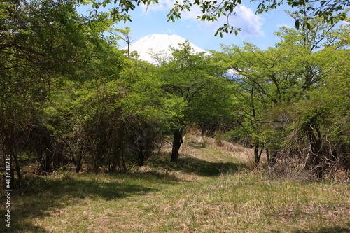 山中湖の東にある明神山と高指山の間の尾根道。