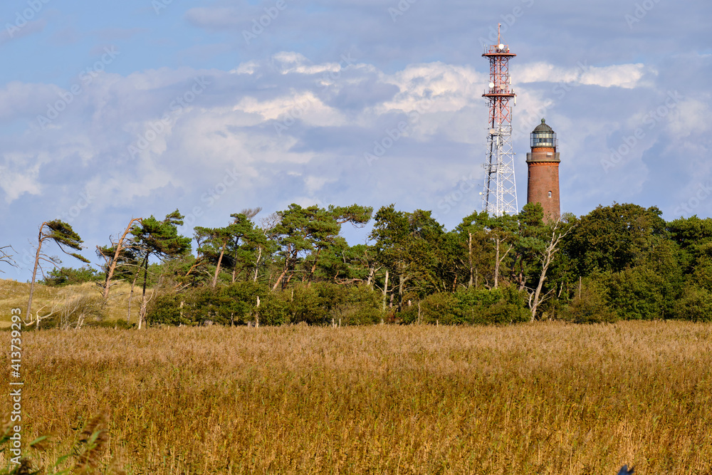 Obraz premium Lichtstimmung im Darßer Urwald und am Darßer Weststrand, Nationalpark Vorpommersche Boddenlandschaft, Mecklenburg Vorpommern, Deutschland