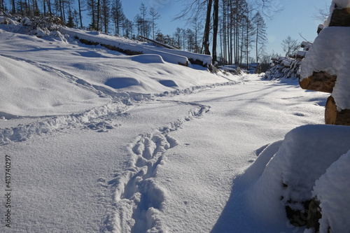 wandern am eggeosthang, silberbach und eggeturm photo