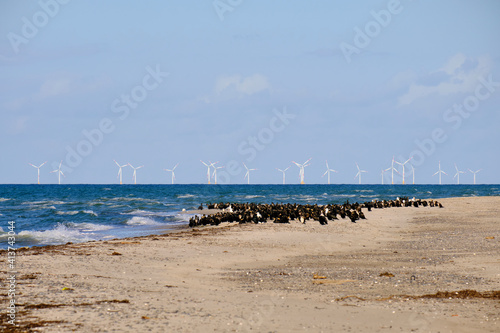 Landschaft mit Dünen und Strandseen am Darßer Ort, Nationalpark Vorpommersche Boddenlandschaft, Mecklenburg Vorpommern, Deutschland photo