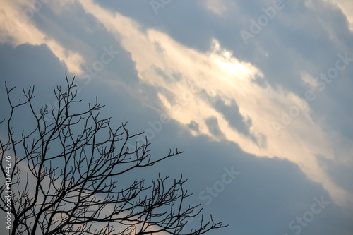 view of a leafless tree against the cloudy sky