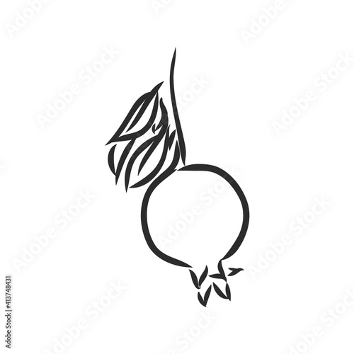 Vector sketch of tropical pomegranate fruit. Round outlines of ripe Garnet isolated on a white background, stock illustration on a horticultural theme. garnet, vector sketch on a white background