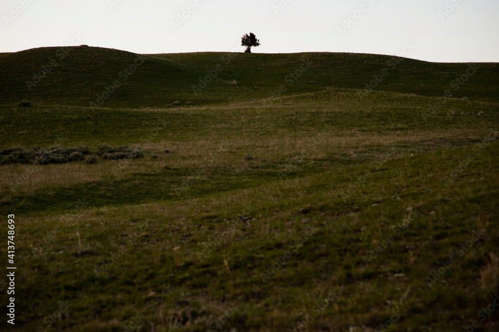 Scenic view of green landscape against clear sky Scenic view of green landscape against clear sky