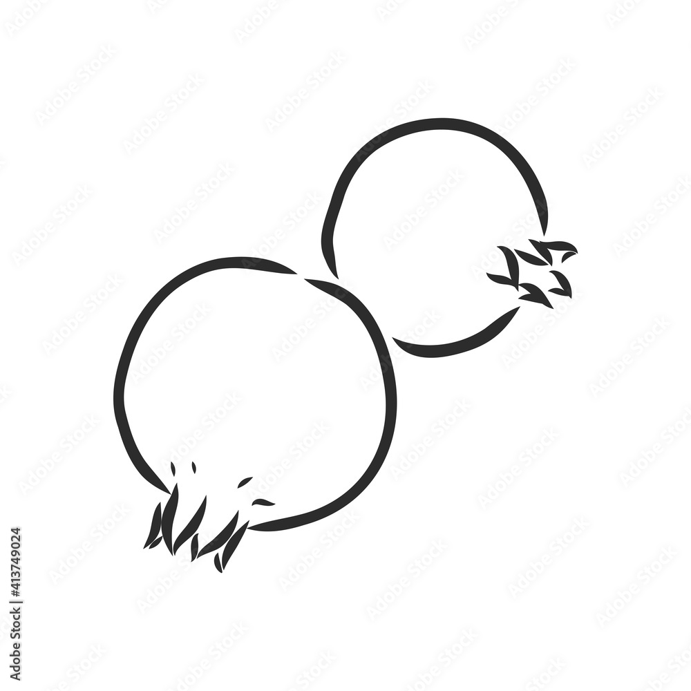 Vector sketch of tropical pomegranate fruit. Round outlines of ripe Garnet isolated on a white background, stock illustration on a horticultural theme. garnet, vector sketch on a white background Vector sketch of tropical pomegranate fruit. Round outlines of ripe Garnet isolated on a white background, stock illustration on a horticultural theme. garnet, vector sketch on a white background