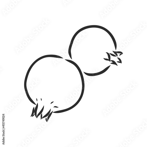 Vector sketch of tropical pomegranate fruit. Round outlines of ripe Garnet isolated on a white background, stock illustration on a horticultural theme. garnet, vector sketch on a white background