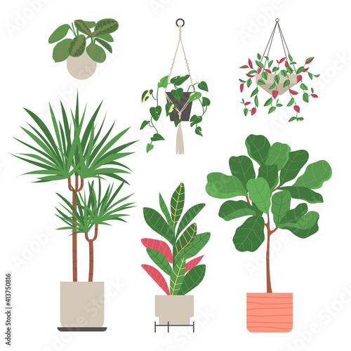 Set of home plants isolated on a white background. Collection of indoor plants in pots. Home decor. Vector illustration in flat style.