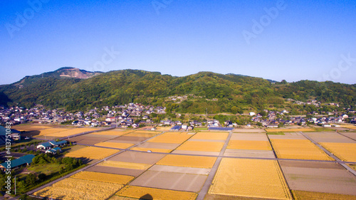 Springtime Fields in Isahaya City, Nagasaki Prefecture by drone_05 photo