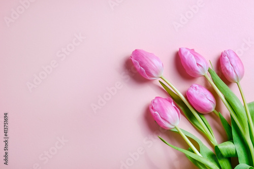 Fresh flower composition, bouquet of bi color pink tulips, isolated on white background. International Women's day, mother's day greeting concept. Copy space, close up, top view, flat lay.