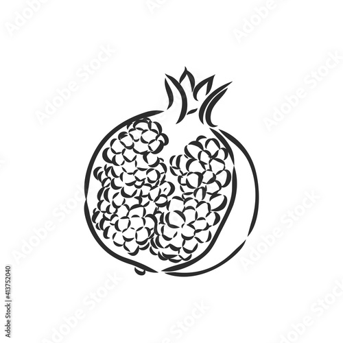 Vector sketch of tropical pomegranate fruit. Round outlines of ripe Garnet isolated on a white background, stock illustration on a horticultural theme. garnet, vector sketch on a white background