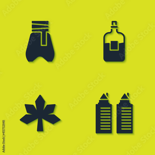 Set Cossack pants  Two towers in Dnipro  Chestnut leaf and Bottle of vodka icon. Vector.