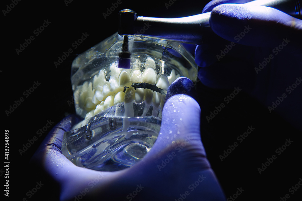 Dentist demonstrates how to polish teeth with a toothbrush Stock Photo Adobe Stock