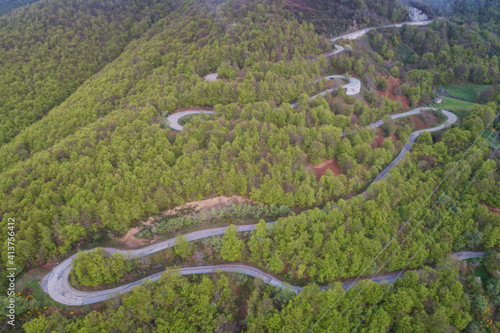 Curves in forest from aerial view Curves in forest from aerial view
