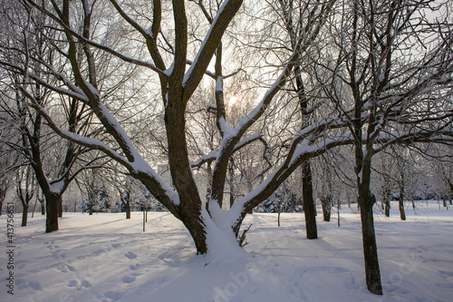 Bare snow-covered trees in the city park. Deep snow with many footprints. The sun shines through the clouds and tree branches.