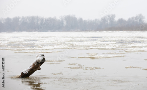 bough in the river in winter, floe on the Vistula river, Poland in winter © Robert