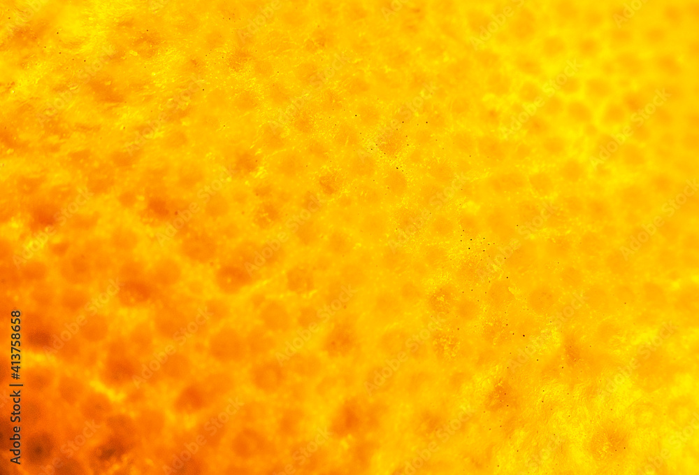 Close up photo of orange peel. Oranges ripe fruit background, macro view. Close up. Close up photo of orange peel. Oranges ripe fruit background, macro view. Close up.