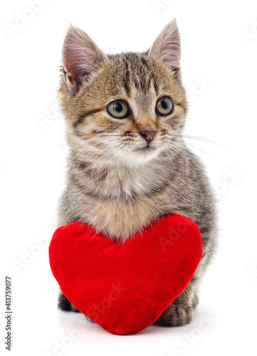 Brown kitten and red heart.