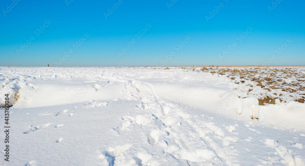Snowy edge of a white frozen lake in wetland under a blue bright sky in winter, Almere, Flevoland, The Netherlands, February 13, 2020