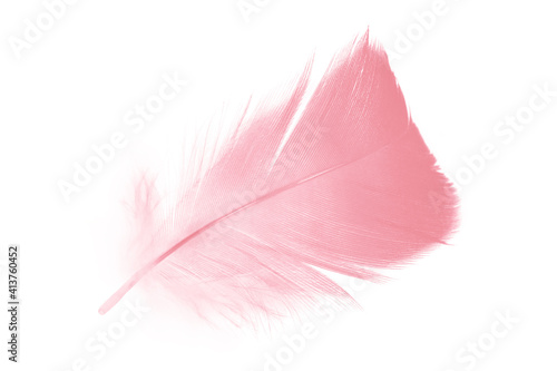 coral pink feather on white background