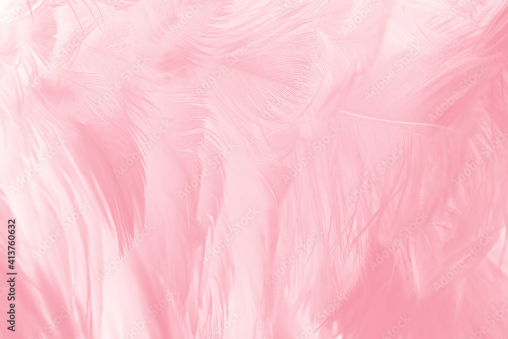Beautiful light pink feather pattern texture background Beautiful light pink feather pattern texture background