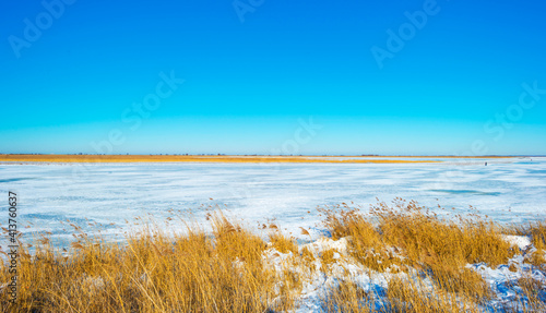 Snowy edge of a white frozen lake in wetland under a blue bright sky in winter  Almere  Flevoland  The Netherlands  February 13  2020
