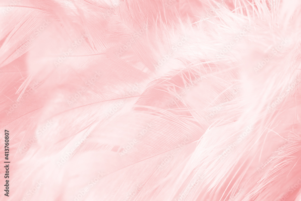 Obraz premium Beautiful light pink feather pattern texture background