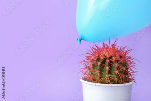 Cactus and air balloon on c...