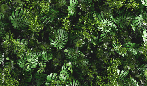 Green tropical exotic leaves wall background photo