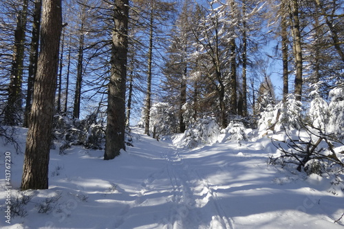 wandern am eggeosthang, silberbach und eggeturm photo