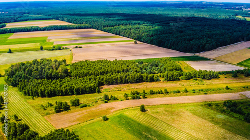 The view of the forest and fields from the drone perspective. Picture from the air.