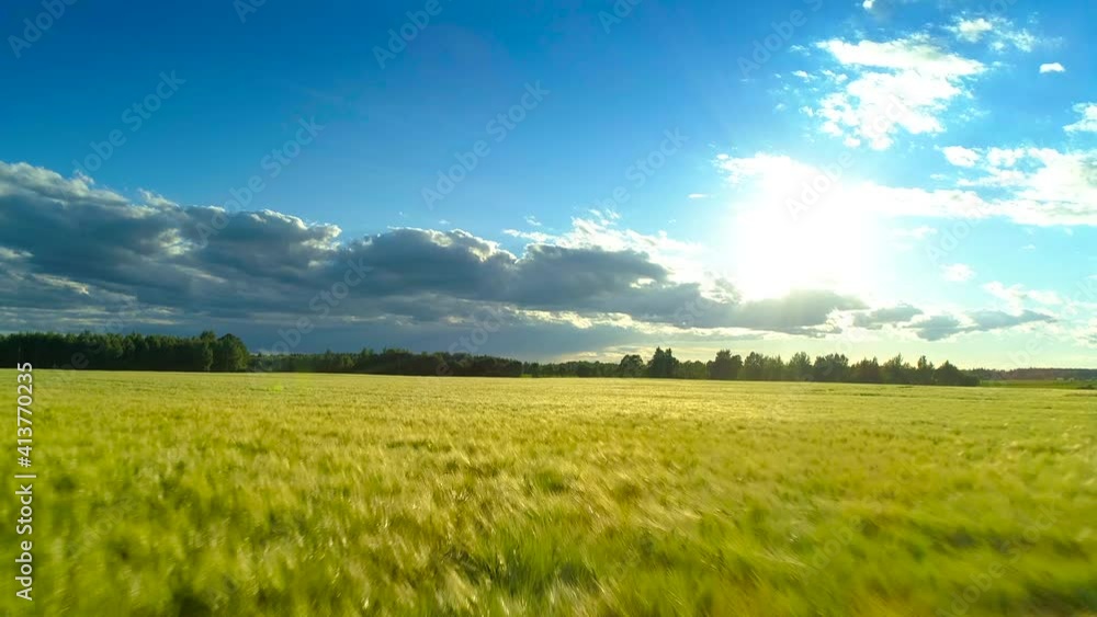 Beautiful nature, aerial forward motion view on agricultural countryside scenery with yellow green barley field and clouds blue sky, sunny day sunlight Beautiful nature, aerial forward motion view on agricultural countryside scenery with yellow green barley field and clouds blue sky, sunny day sunlight