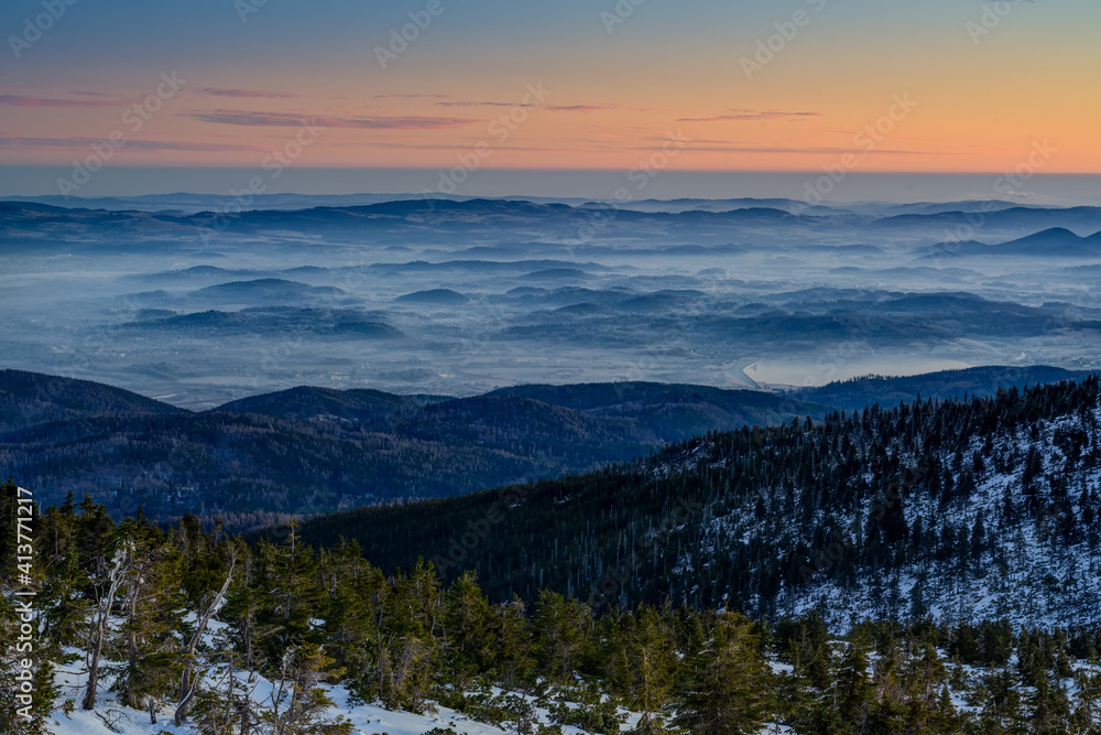 snowy landscape with trees and dwarf pine before sunrise