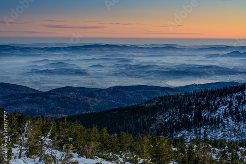 snowy landscape with trees and dwarf pine before sunrise